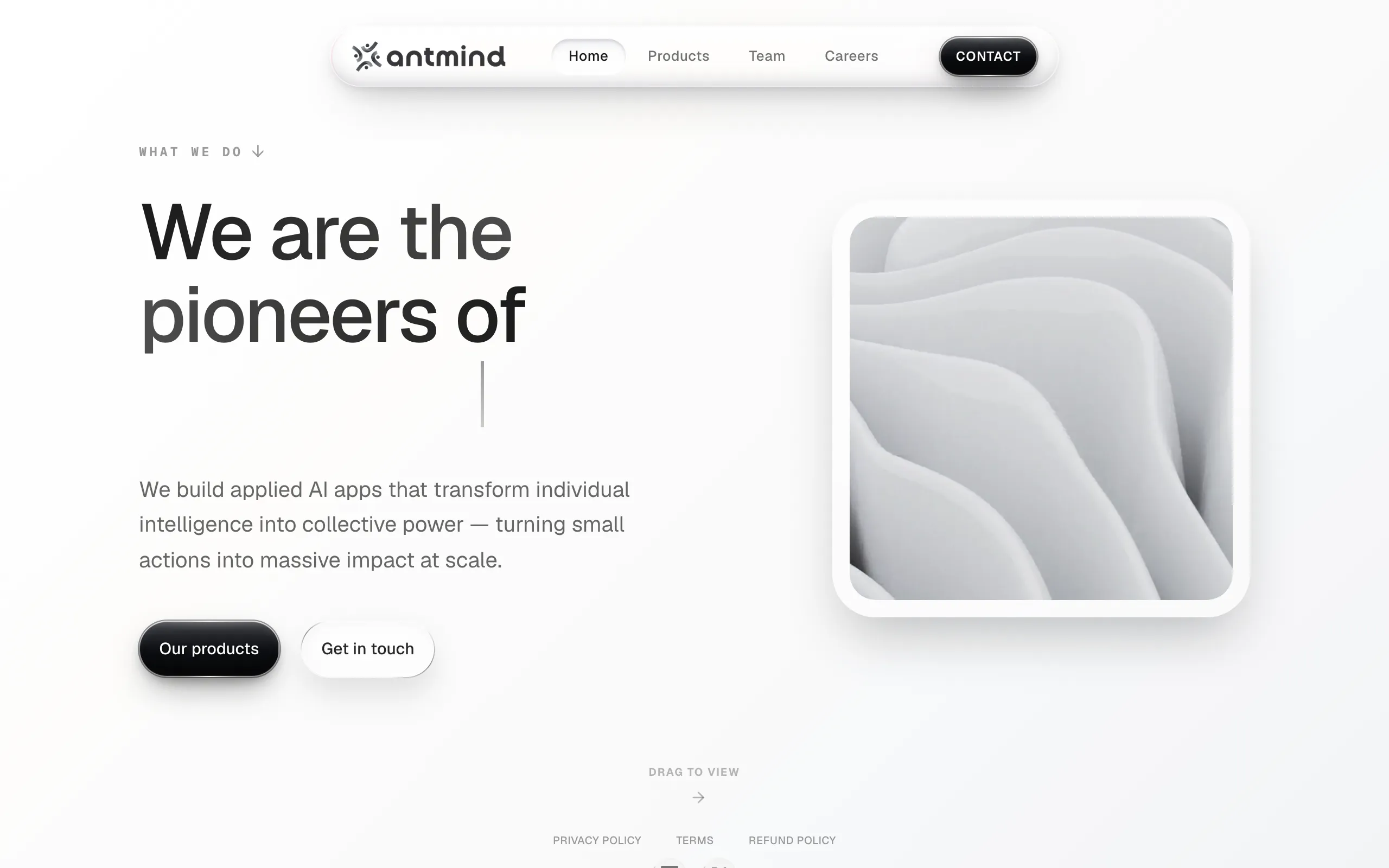 Screenshot of Antmind | Building the Future of Applied AI