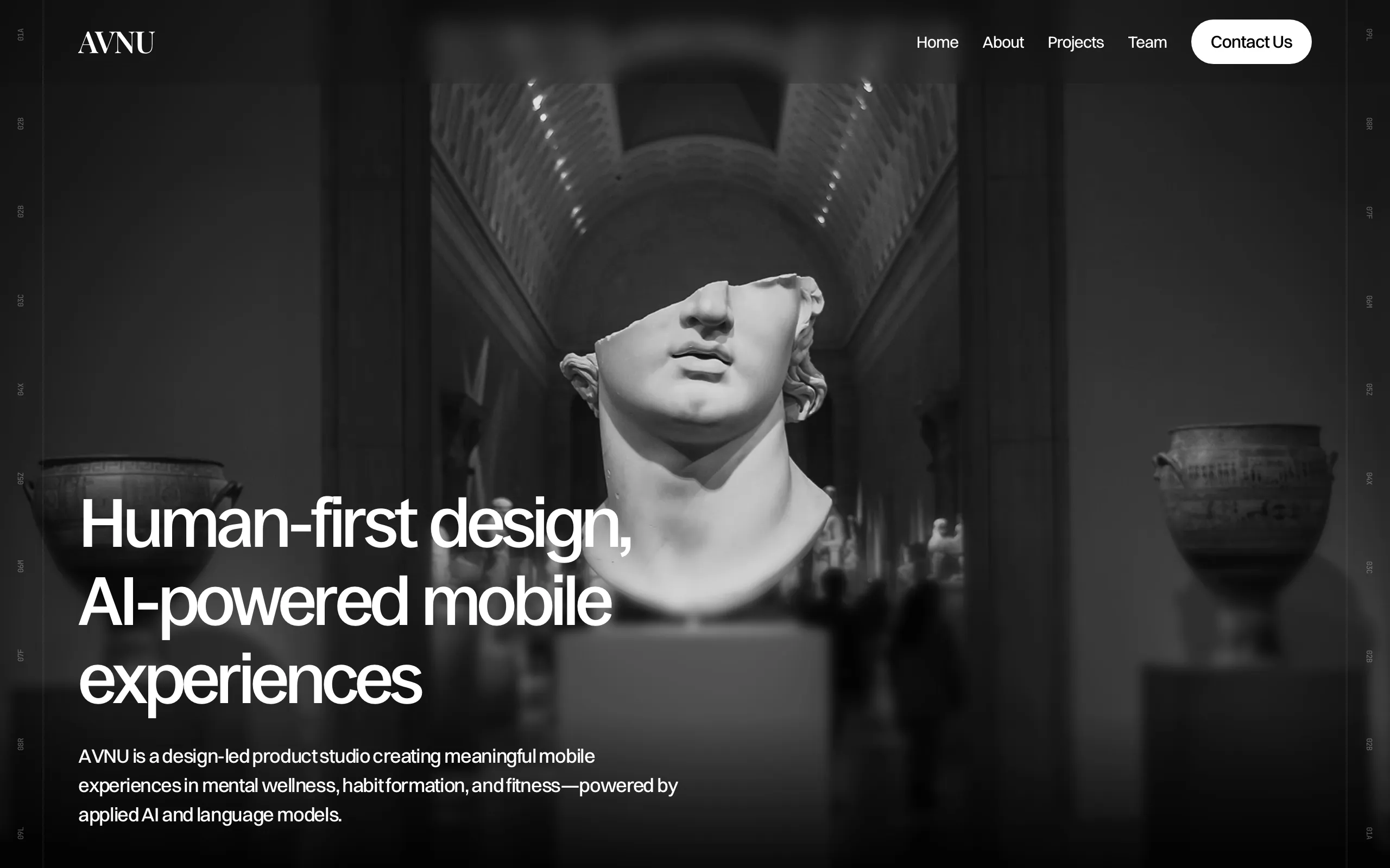 Screenshot of AVNU Limited