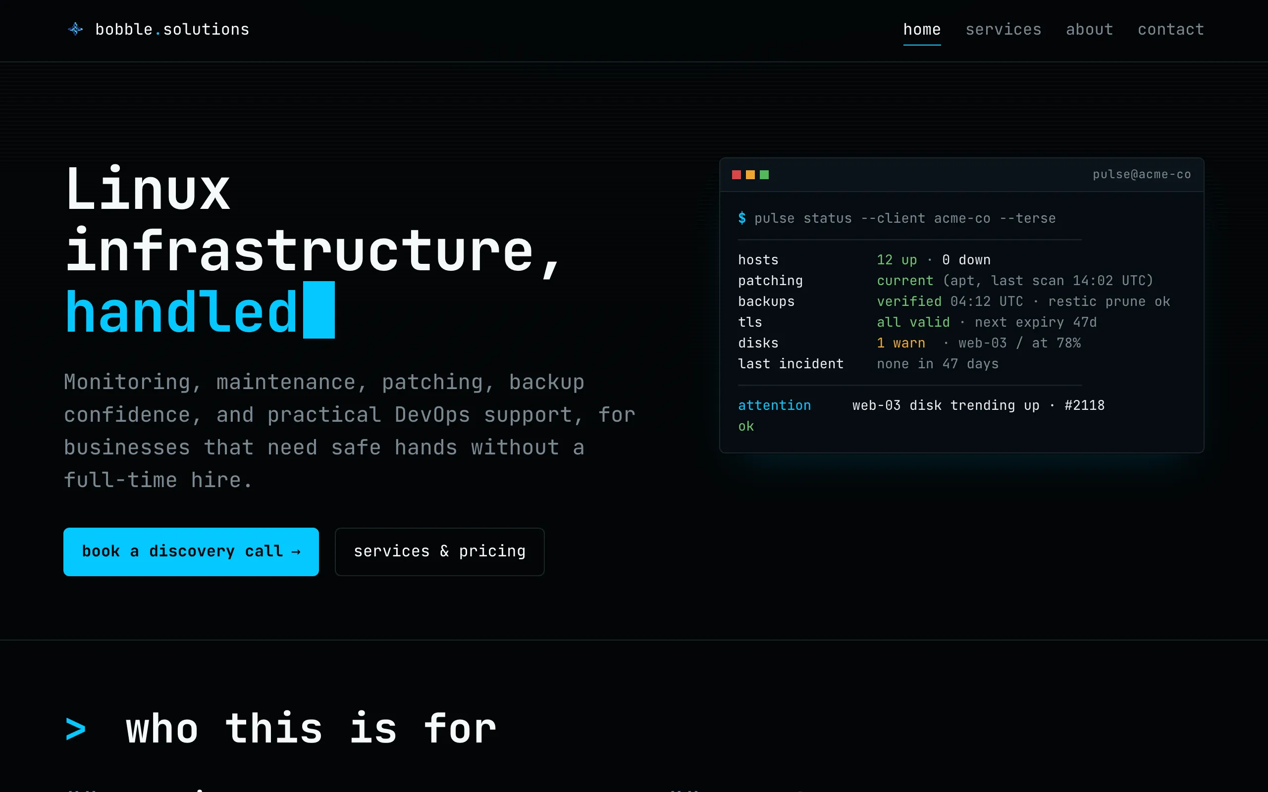 Screenshot of Bobble Solutions: Linux &amp; infrastructure support for agencies and SaaS teams