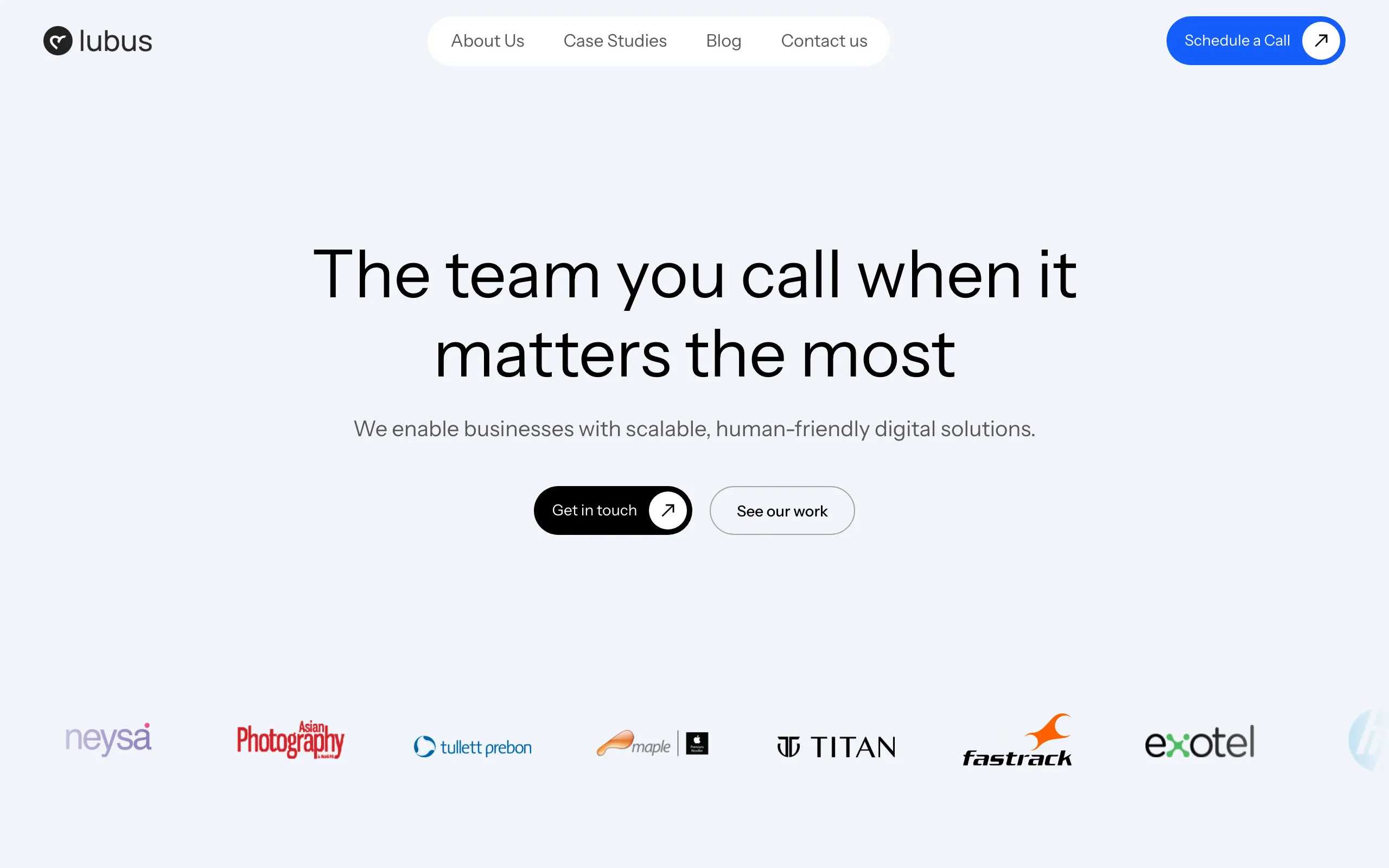 Screenshot of Custom WordPress and Laravel Development | LUBUS Agency