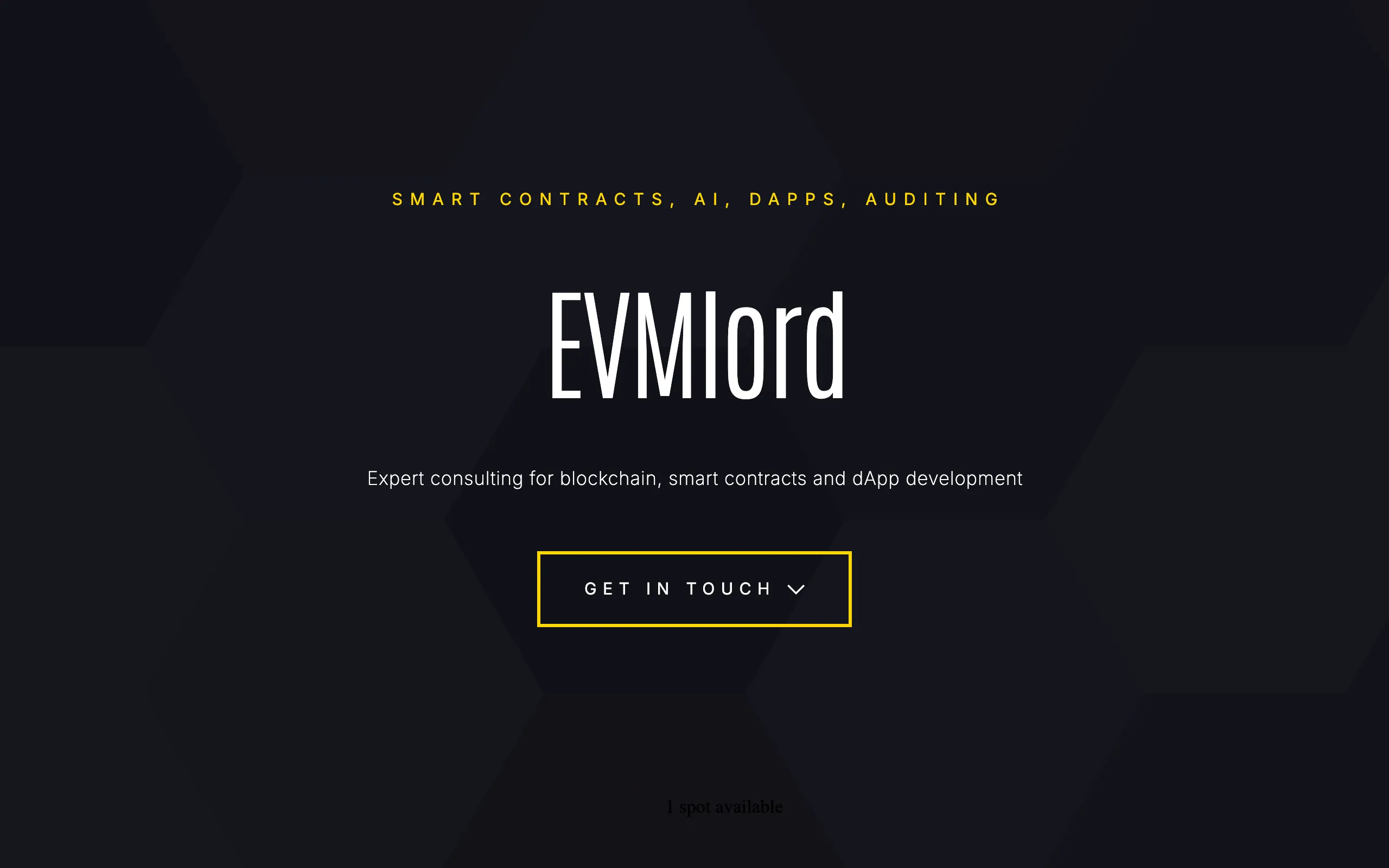 Screenshot of EVMlord - Senior Blockchain Developer