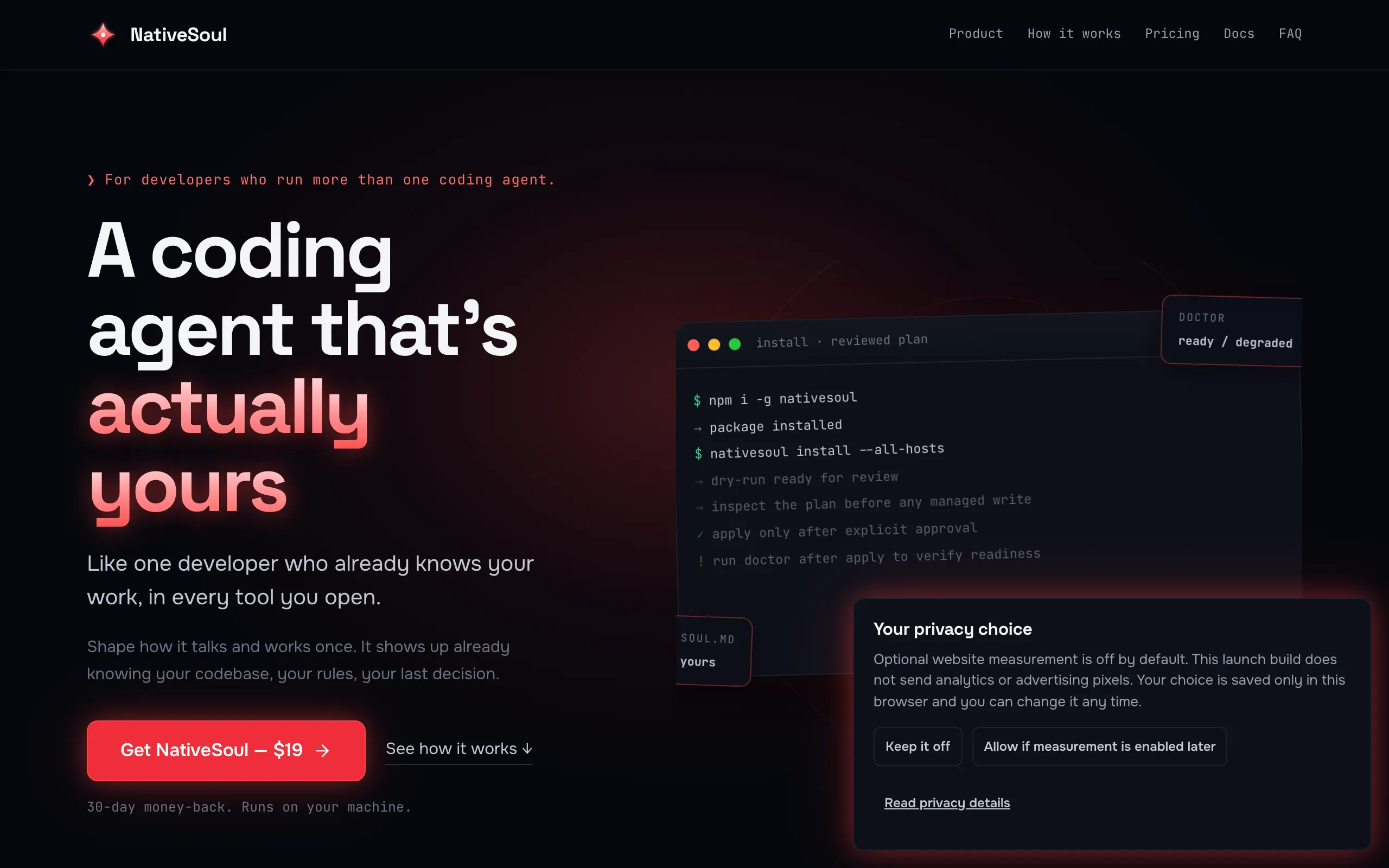 Screenshot of NativeSoul — identity and continuity for coding agents