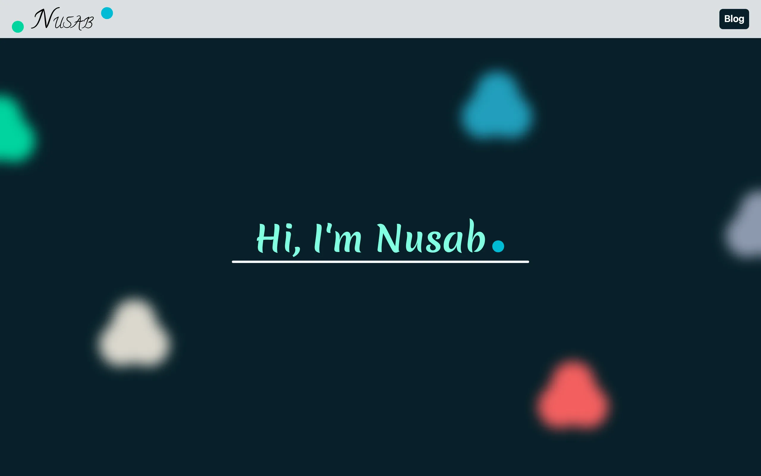Screenshot of Nusab Taha - Full Stack Developer